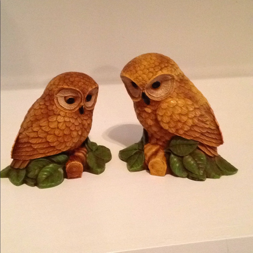 Resin Owl Set